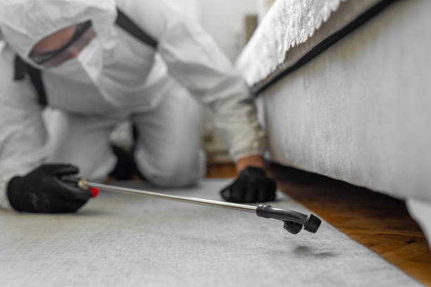 Professional Termite Control technician working in Burke Centre, VA