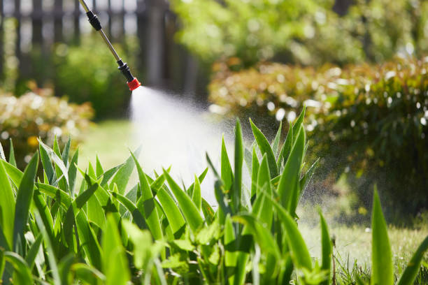 24/7 Emergency Termite Control experts in Burke Centre, VA