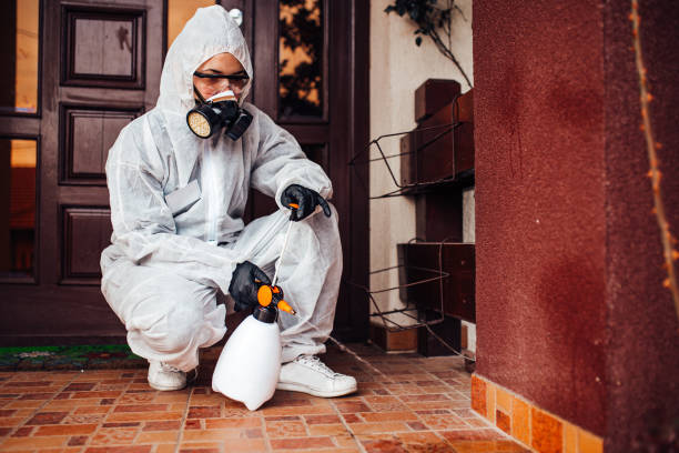 Reliable Termite Control contractor in Burke Centre, VA by Nex Pest Control