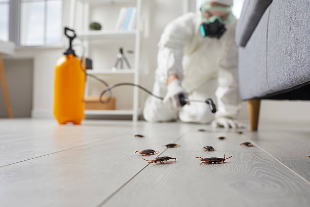 Trusted Cockroach Control service in Burke Centre, VA - Nex Pest Control