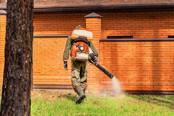 Trusted Termite Control service in Burke Centre, VA - Nex Pest Control